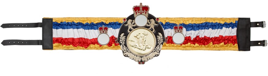 QUEENSBURY MMA SILK CHAMPIONSHIP BELT - QUEEN/B/MMA/SILK - AVAILABLE IN 6 COLOURS